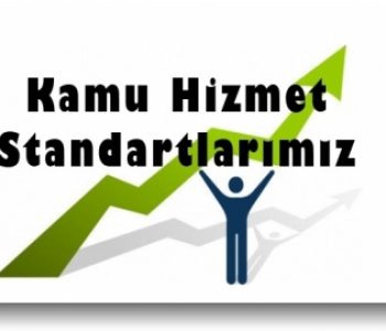 kamu-hizmet-standartları-dargecit-asm